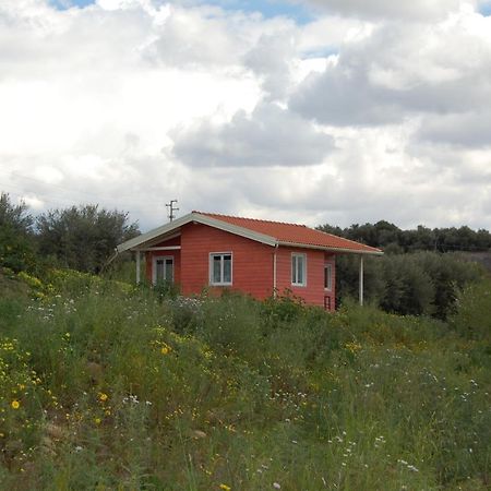 Mandorleo Apartman Belpasso Kültér fotó