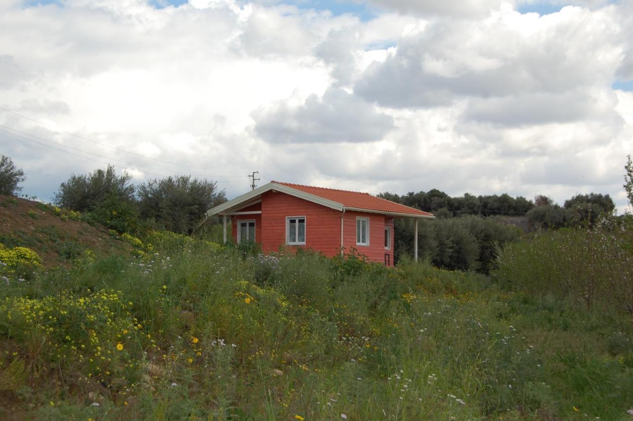 Mandorleo Apartman Belpasso Kültér fotó